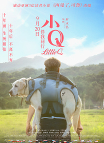 成午夜视频
